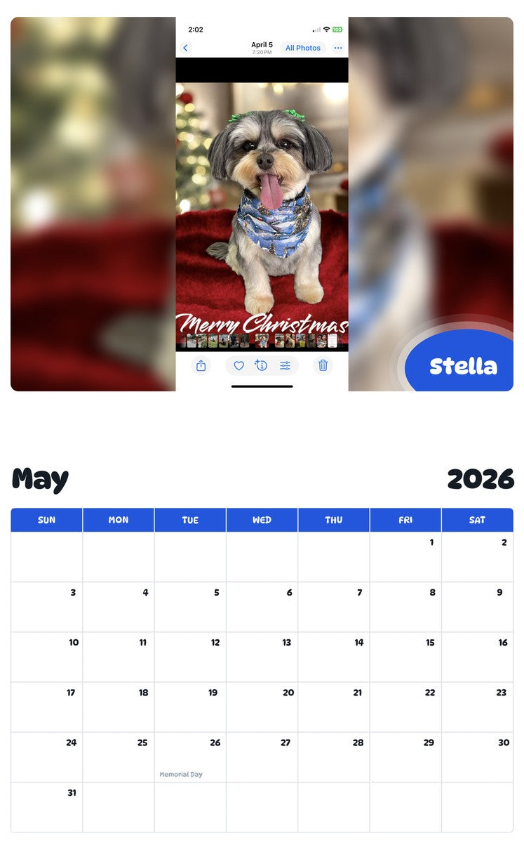 2026 - 2027 Stella - Pawidols Pet Calendar