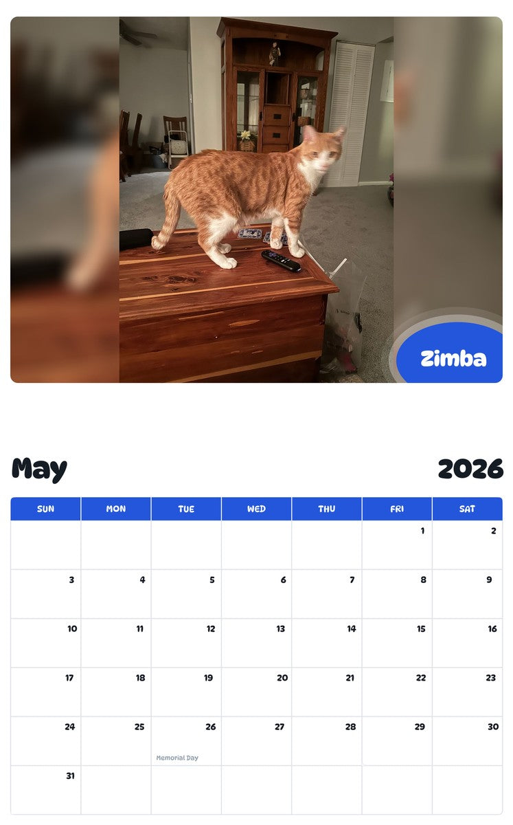 2026 - 2027 Zimba - Pawidols Pet Calendar
