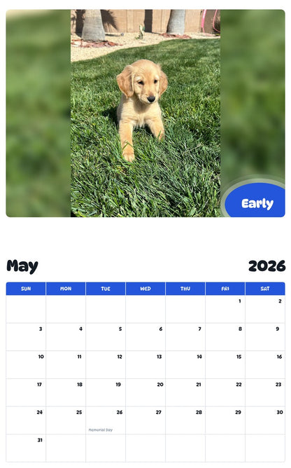 2026 - 2027 Early - Pawidols Pet Calendar