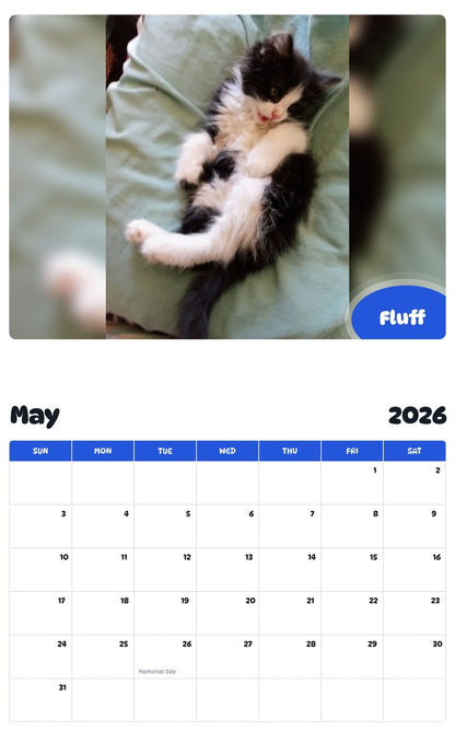 2026 - 2027 Fluff - Pawidols Pet Calendar