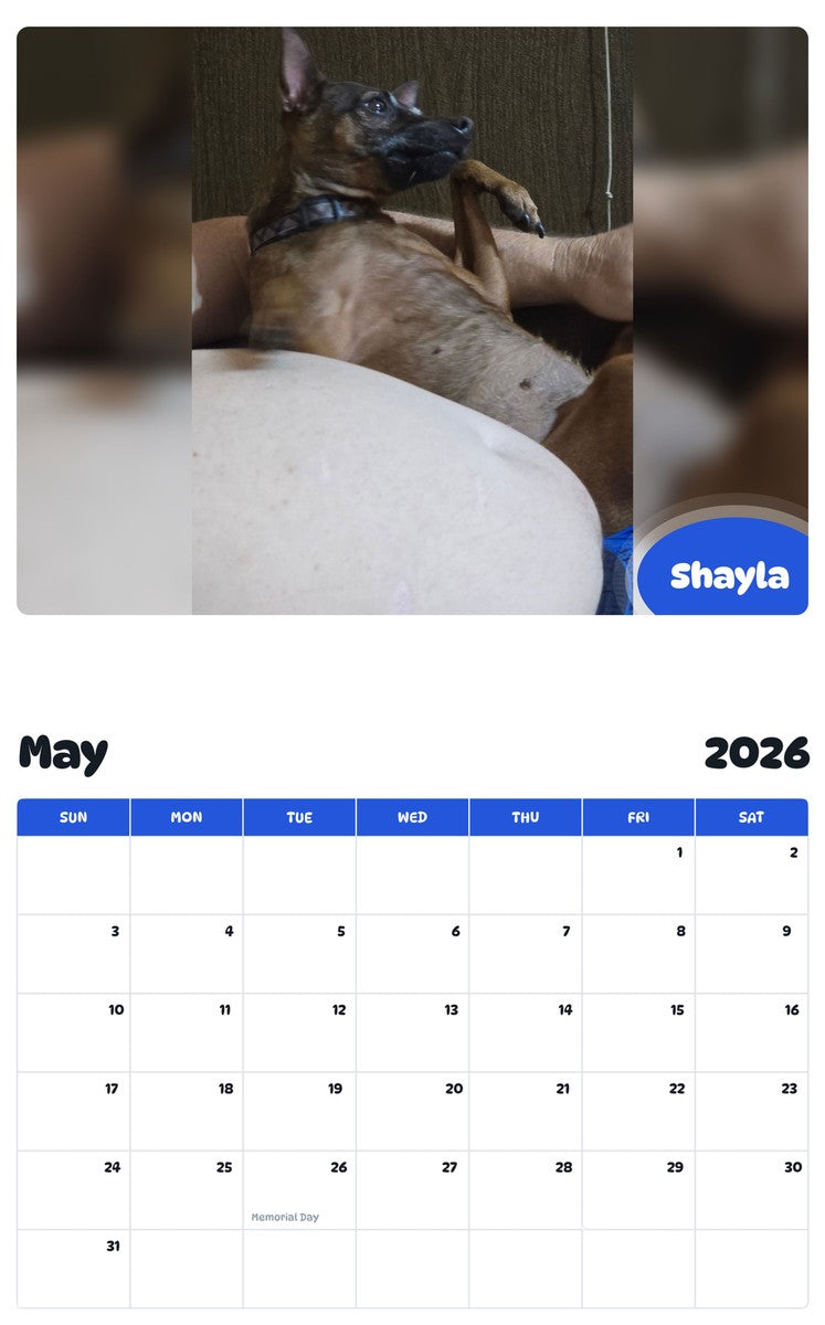 2026 - 2027 Shayla - Pawidols Pet Calendar