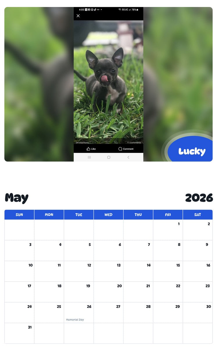 2026 - 2027 Lucky - Pawidols Pet Calendar