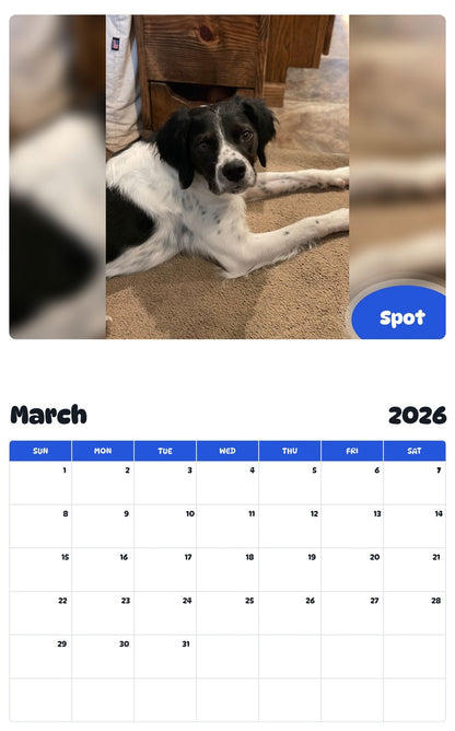 November 2025 - October 2026 Spot - Pawidols Pet Calendar
