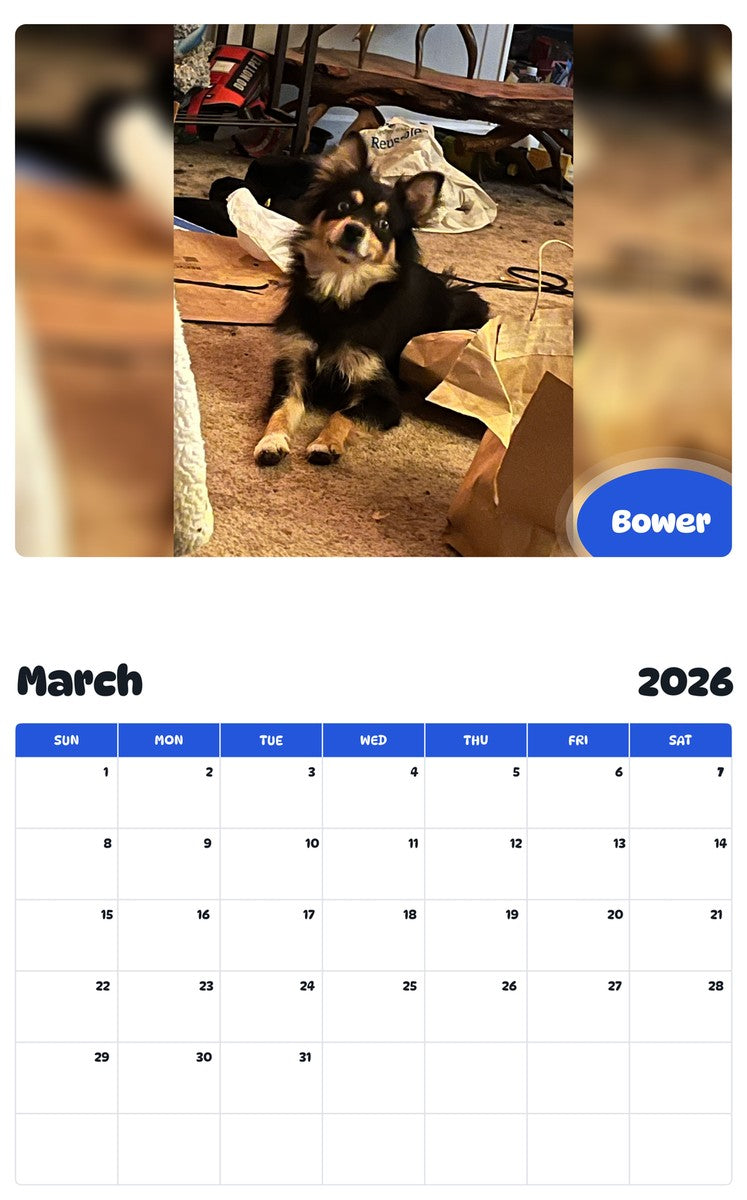 November 2025 - October 2026 Bower - Pawidols Pet Calendar