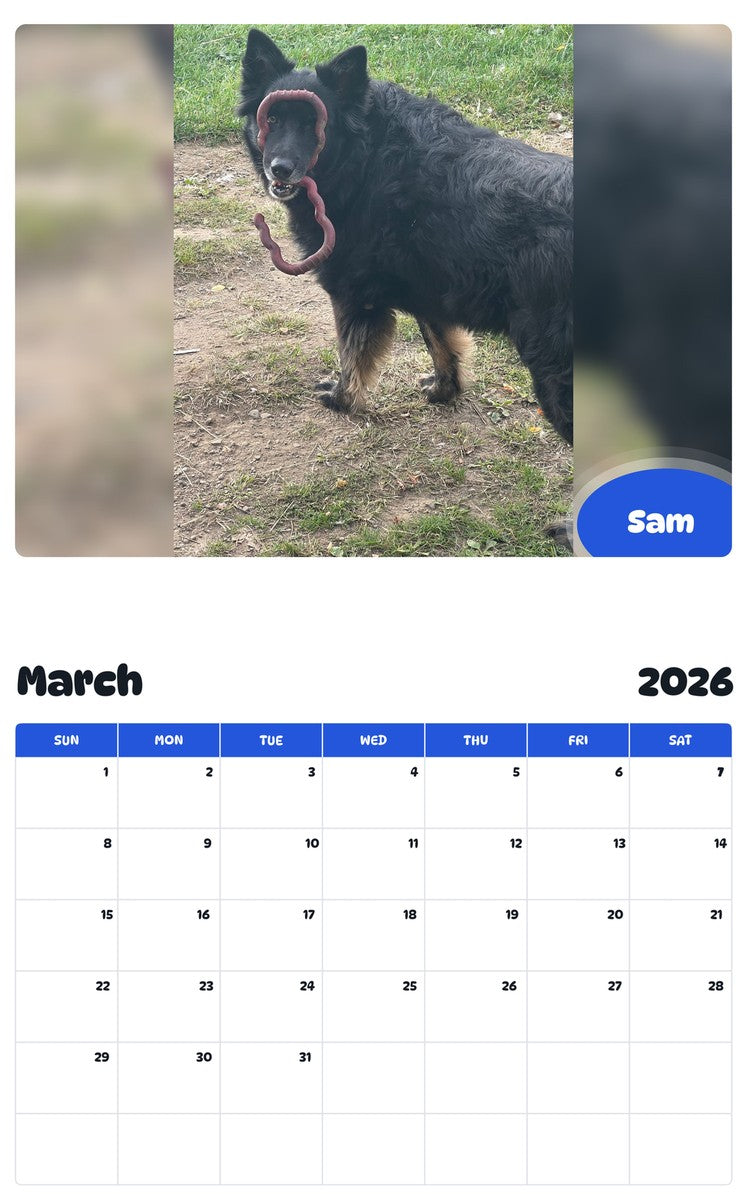 November 2025 - October 2026 Sam - Pawidols Pet Calendar