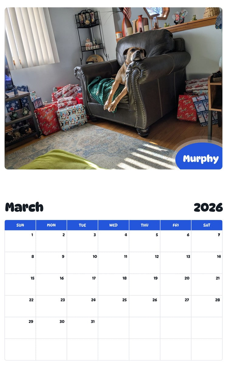 November 2025 - October 2026 Murphy - Pawidols Pet Calendar