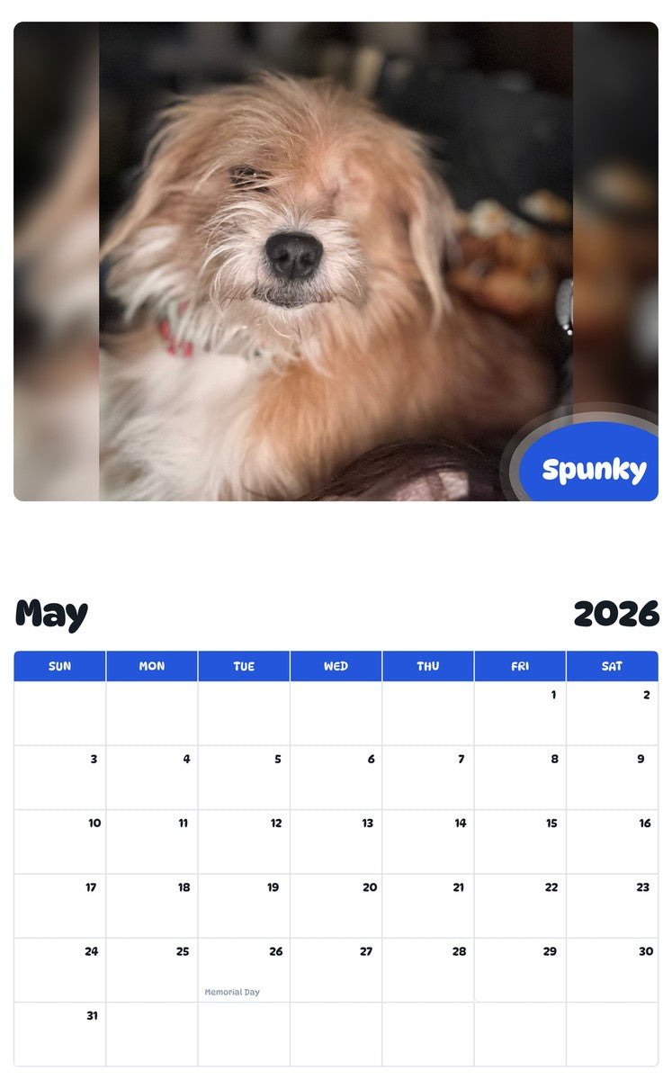 2026 - 2027 Spunky - Pawidols Pet Calendar