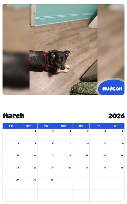 November 2025 - October 2026 Hudson - Pawidols Pet Calendar