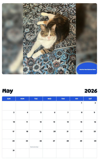2026 - 2027 Dexter Montainous Haze - Pawidols Pet Calendar