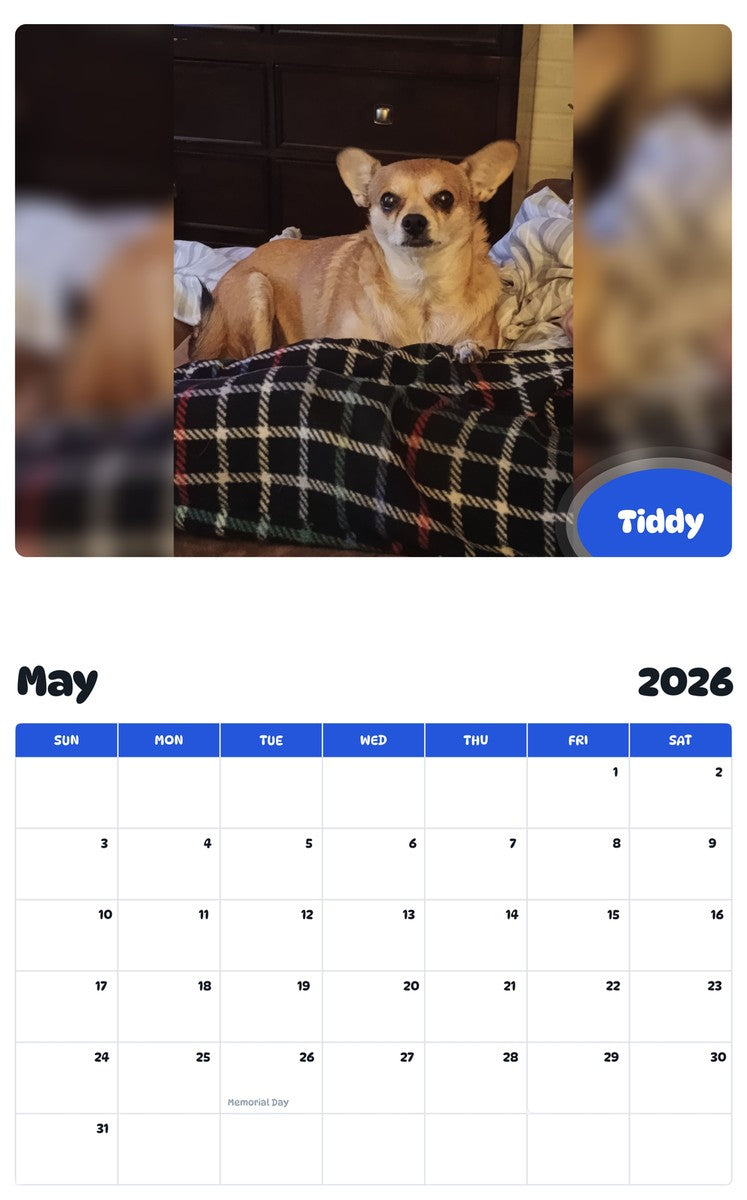 2026 - 2027 Tiddy - Pawidols Pet Calendar