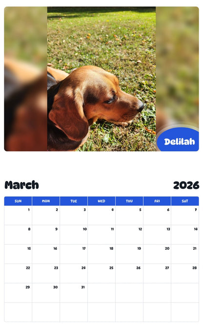 November 2025 - October 2026 Delilah - Pawidols Pet Calendar