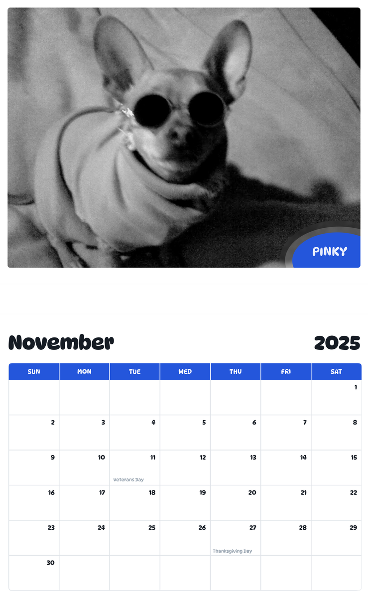 July 2025 - June 2026 Pinky - Pawidols Pet Calendar
