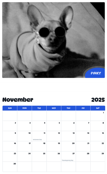 July 2025 - June 2026 Pinky - Pawidols Pet Calendar