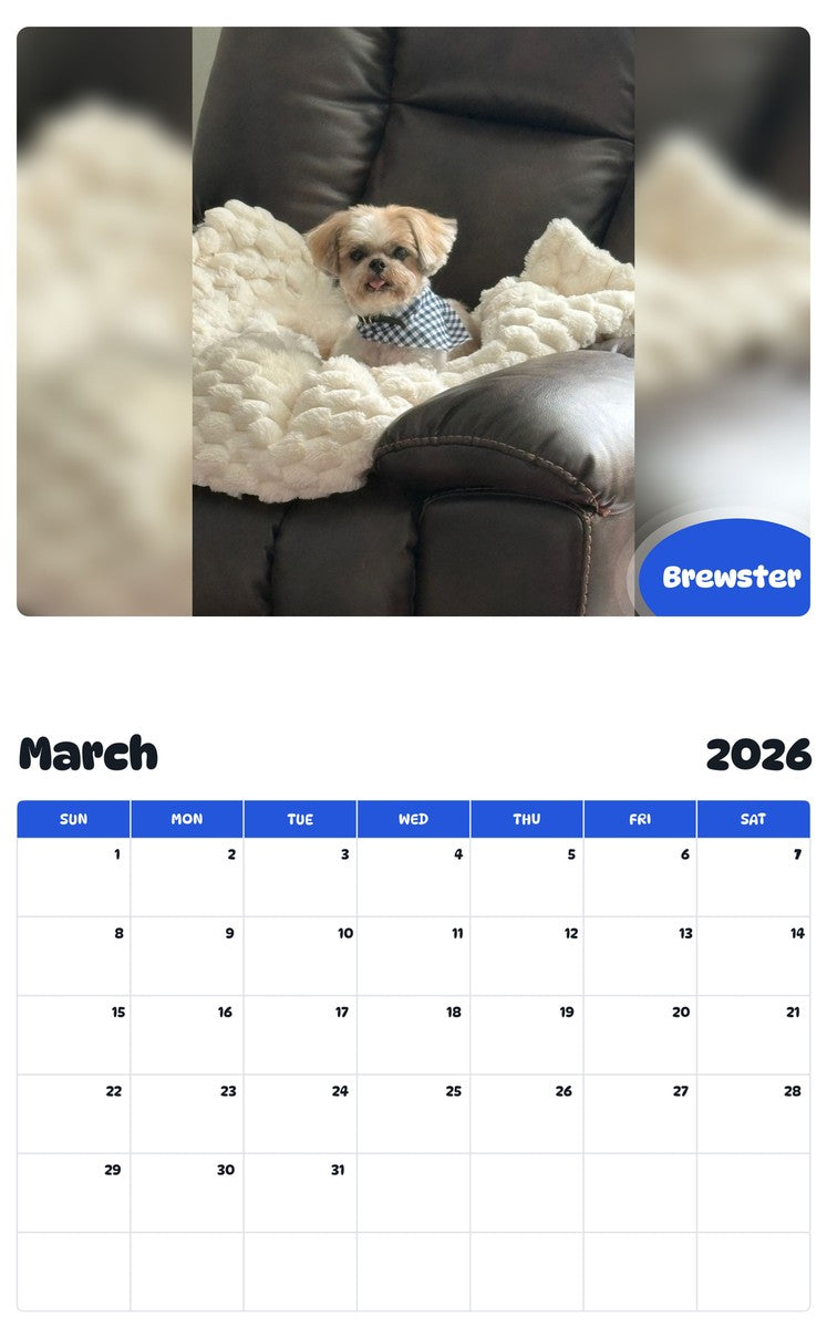 November 2025 - October 2026 Brewster - Pawidols Pet Calendar