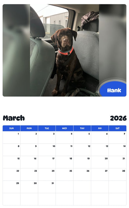 November 2025 - October 2026 Hank - Pawidols Pet Calendar