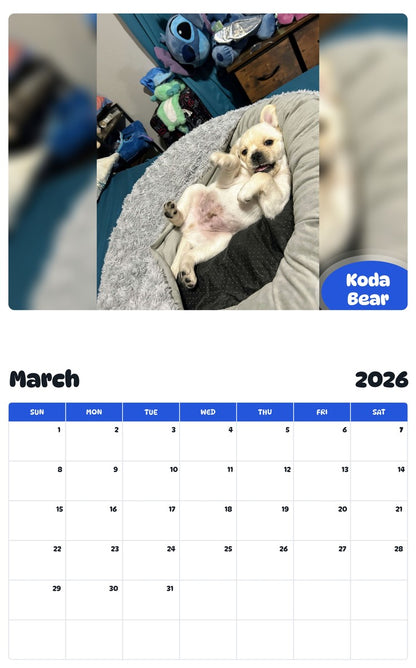 November 2025 - October 2026 Koda Bear - Pawidols Pet Calendar