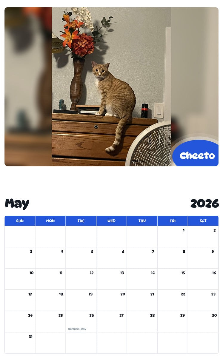 2026 - 2027 Cheeto - Pawidols Pet Calendar