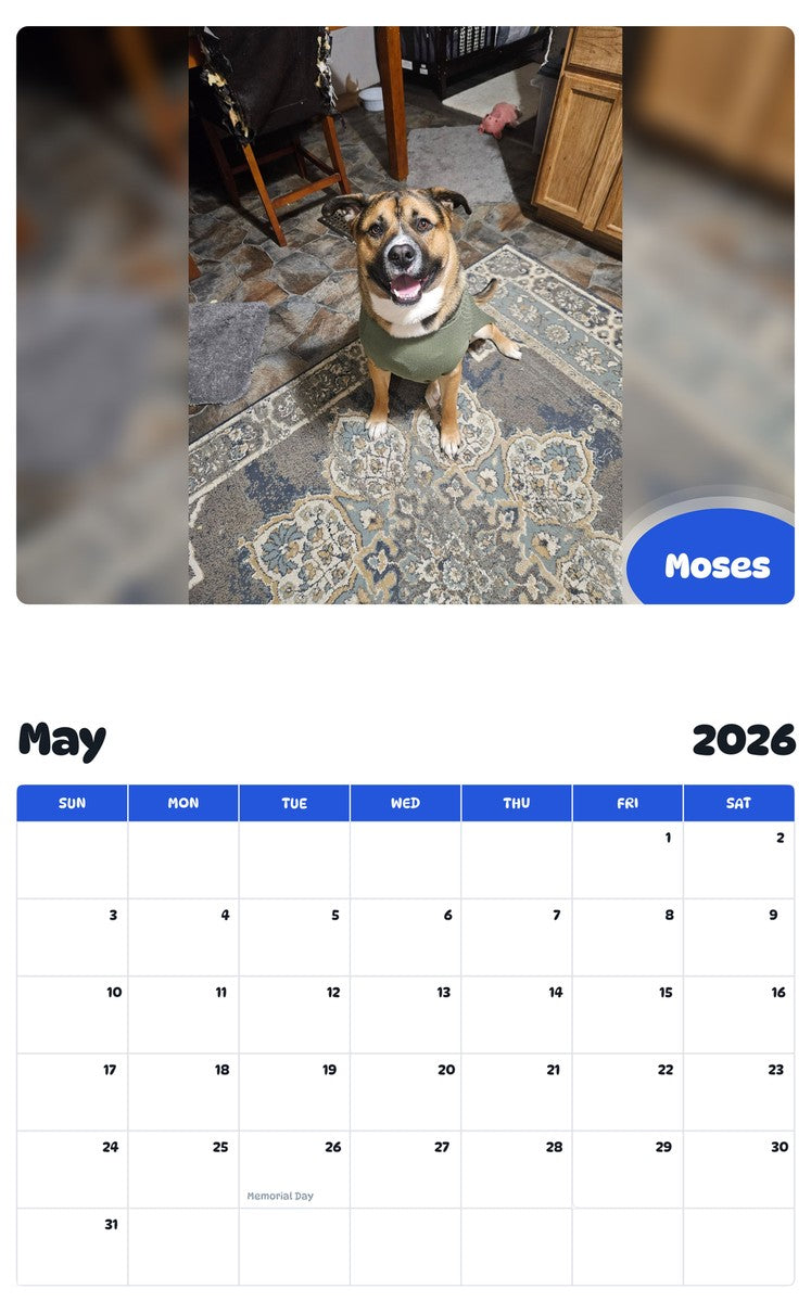 2026 - 2027 Moses - Pawidols Pet Calendar