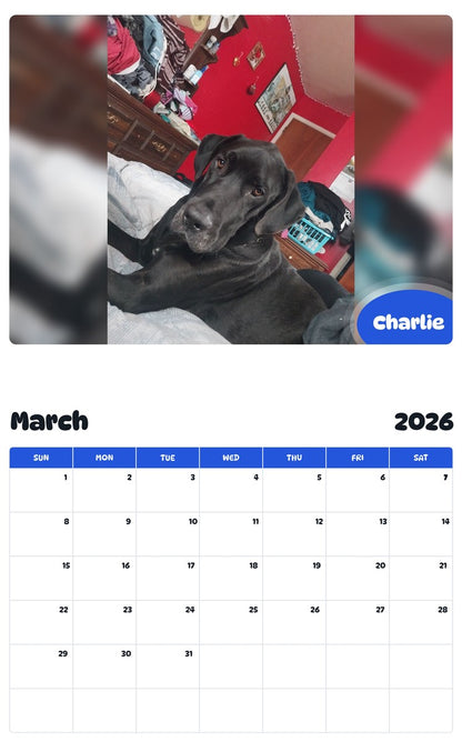 November 2025 - October 2026 Charlie - Pawidols Pet Calendar