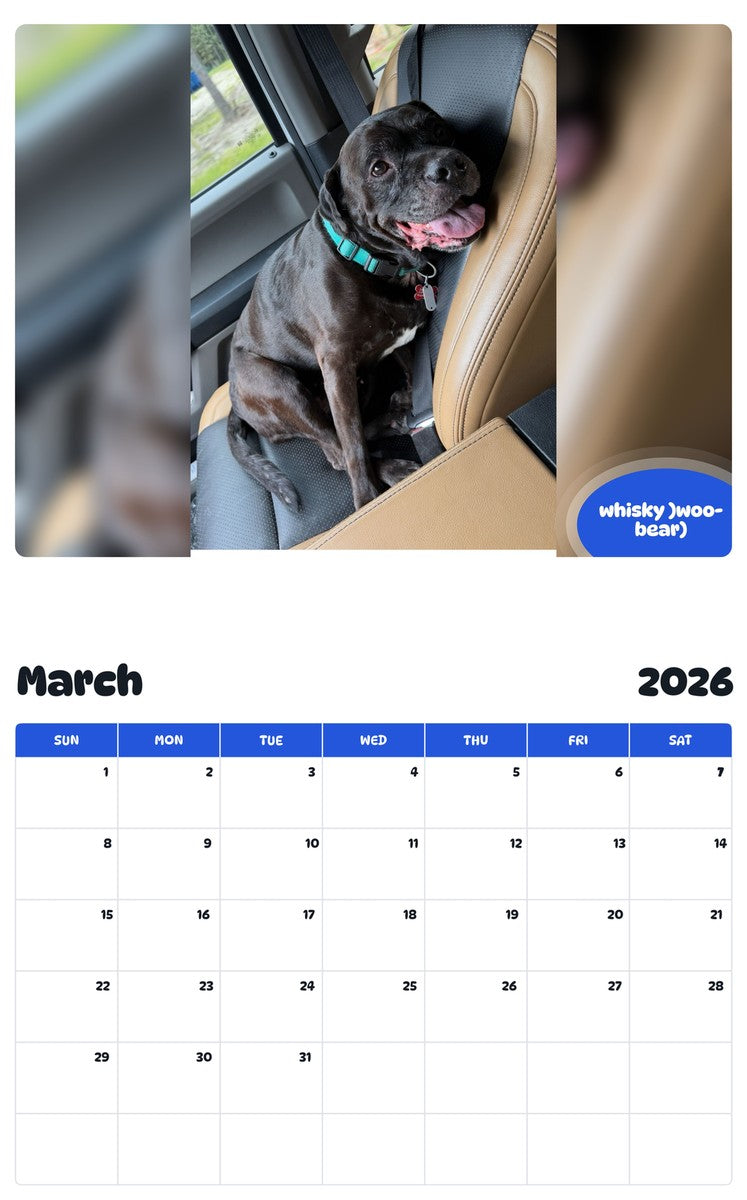 November 2025 - October 2026 whisky )woo-bear) - Pawidols Pet Calendar