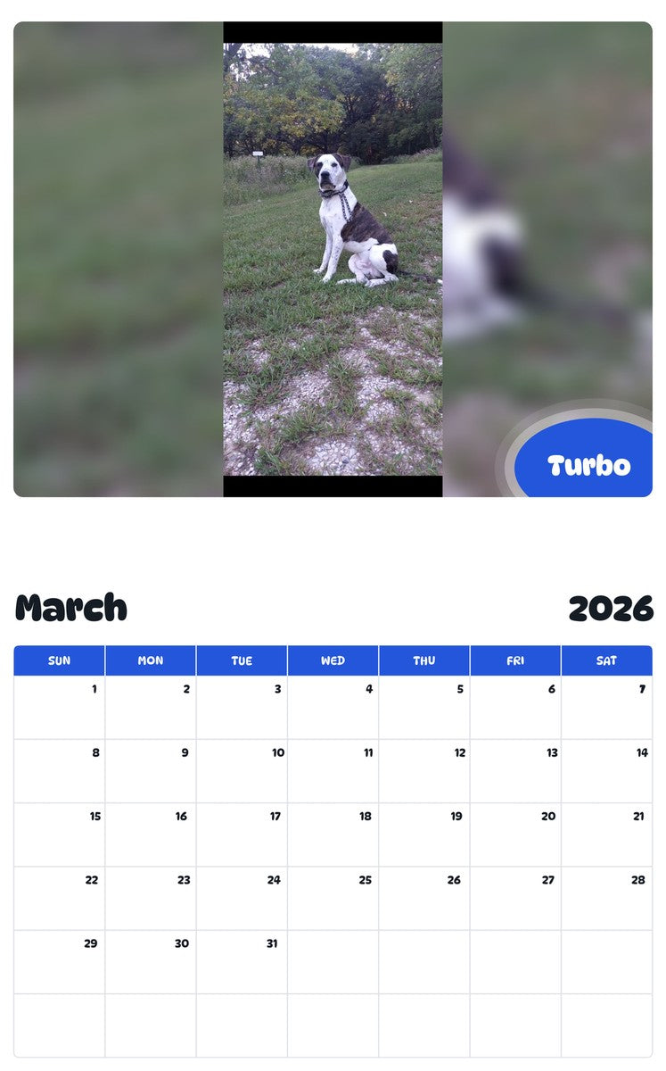 November 2025 - October 2026 Turbo - Pawidols Pet Calendar