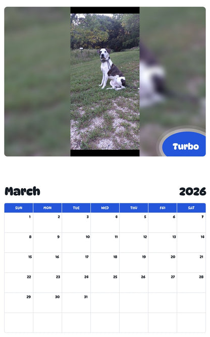 November 2025 - October 2026 Turbo - Pawidols Pet Calendar