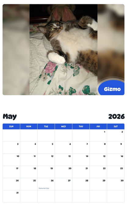 2026 - 2027 Gizmo - Pawidols Pet Calendar