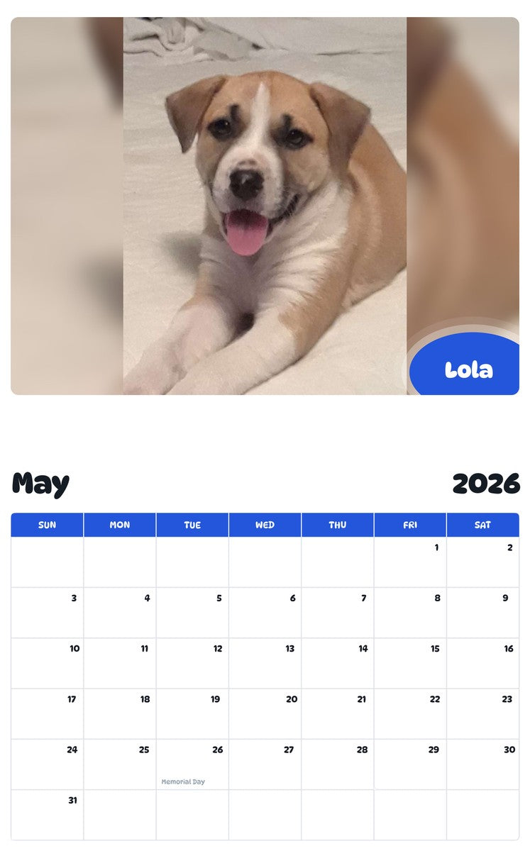 2026 - 2027 Lola - Pawidols Pet Calendar
