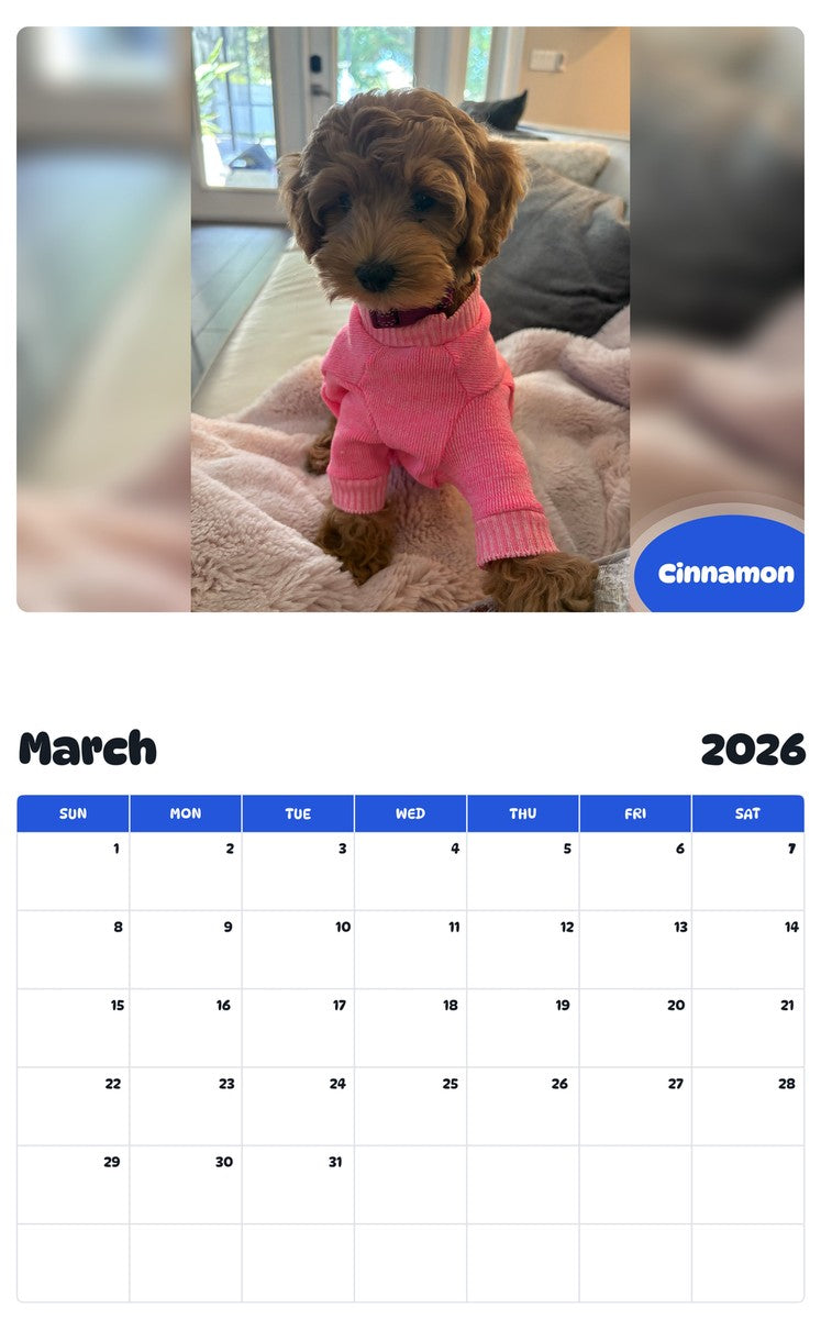 November 2025 - October 2026 Cinnamon - Pawidols Pet Calendar