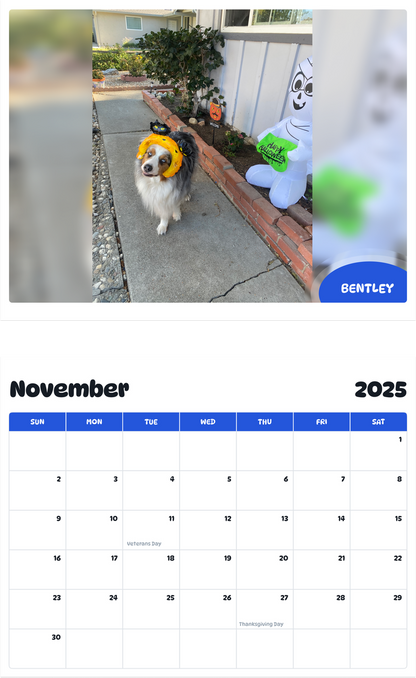 July 2025 - June 2026 Bentley - Pawidols Pet Calendar