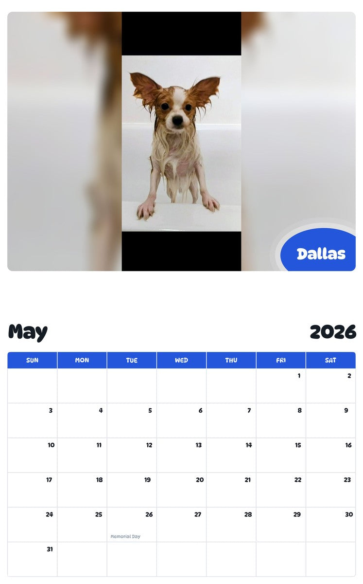 2026 - 2027 Dallas - Pawidols Pet Calendar