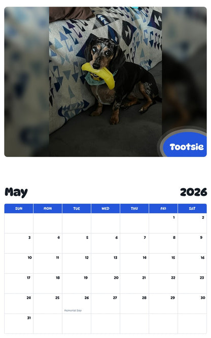 2026 - 2027 Tootsie - Pawidols Pet Calendar