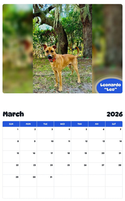 November 2025 - October 2026 Leonardo “Leo” - Pawidols Pet Calendar