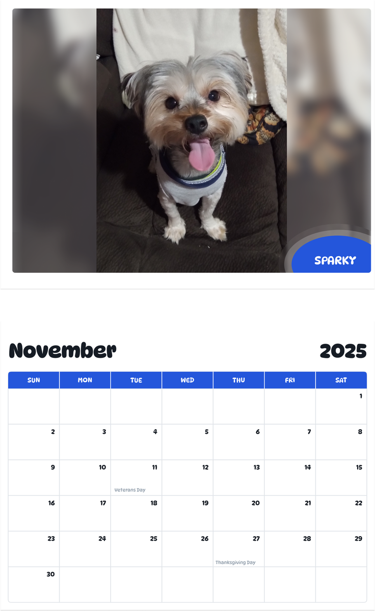 July 2025 - June 2026 Sparky - Pawidols Pet Calendar