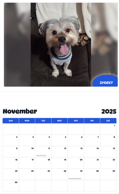 July 2025 - June 2026 Sparky - Pawidols Pet Calendar