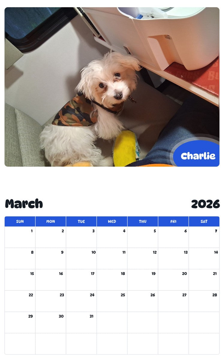 November 2025 - October 2026 Charlie - Pawidols Pet Calendar