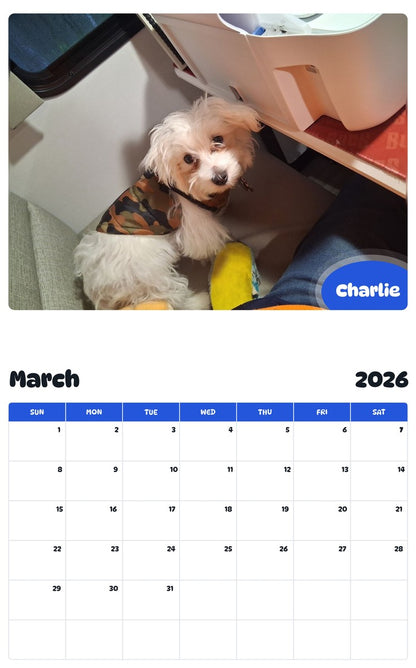 November 2025 - October 2026 Charlie - Pawidols Pet Calendar