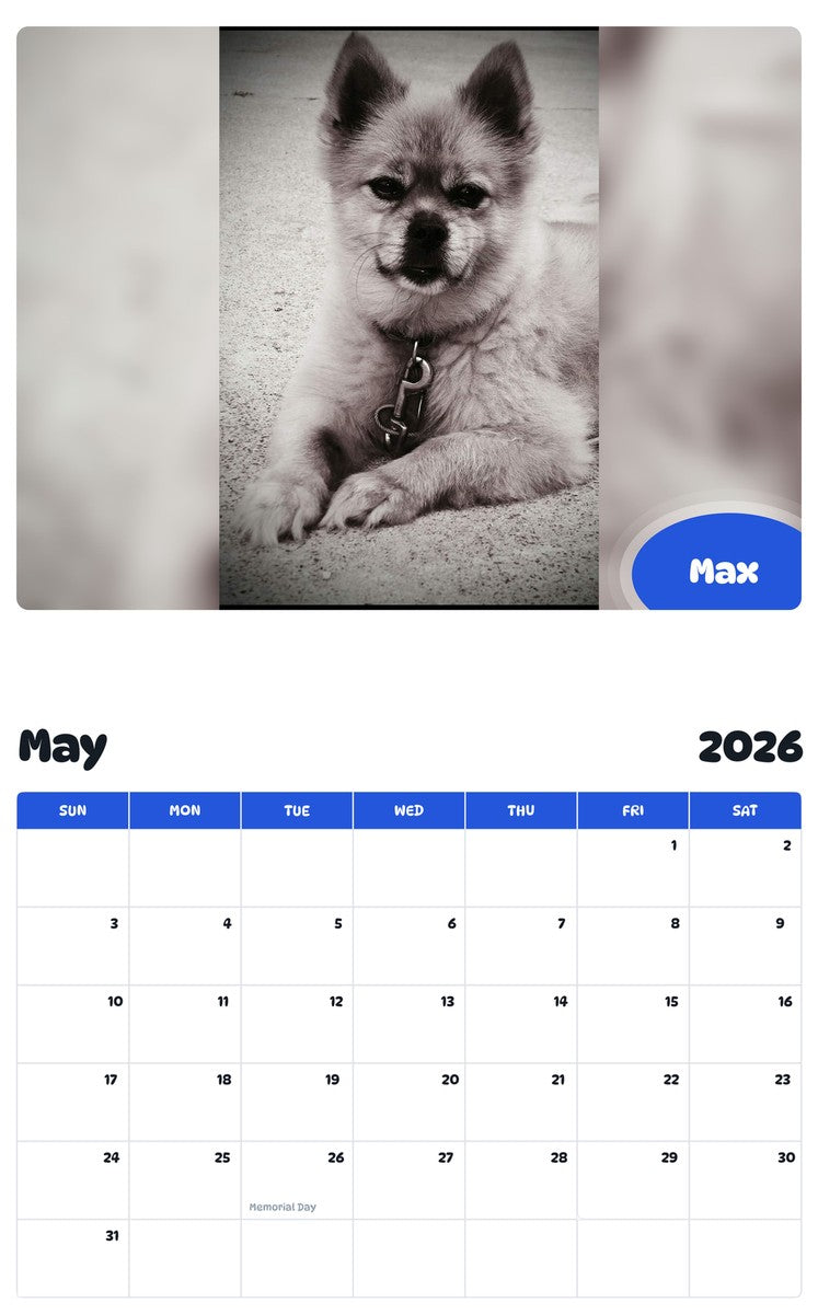 2026 - 2027 Max - Pawidols Pet Calendar