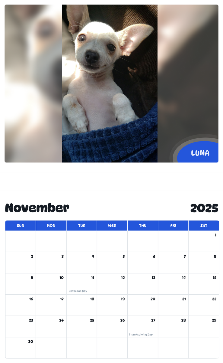 July 2025 - June 2026 Luna - Pawidols Pet Calendar