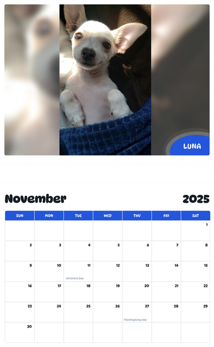July 2025 - June 2026 Luna - Pawidols Pet Calendar