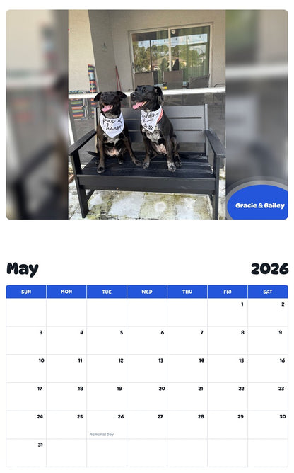 2026 - 2027 Gracie & Bailey - Pawidols Pet Calendar