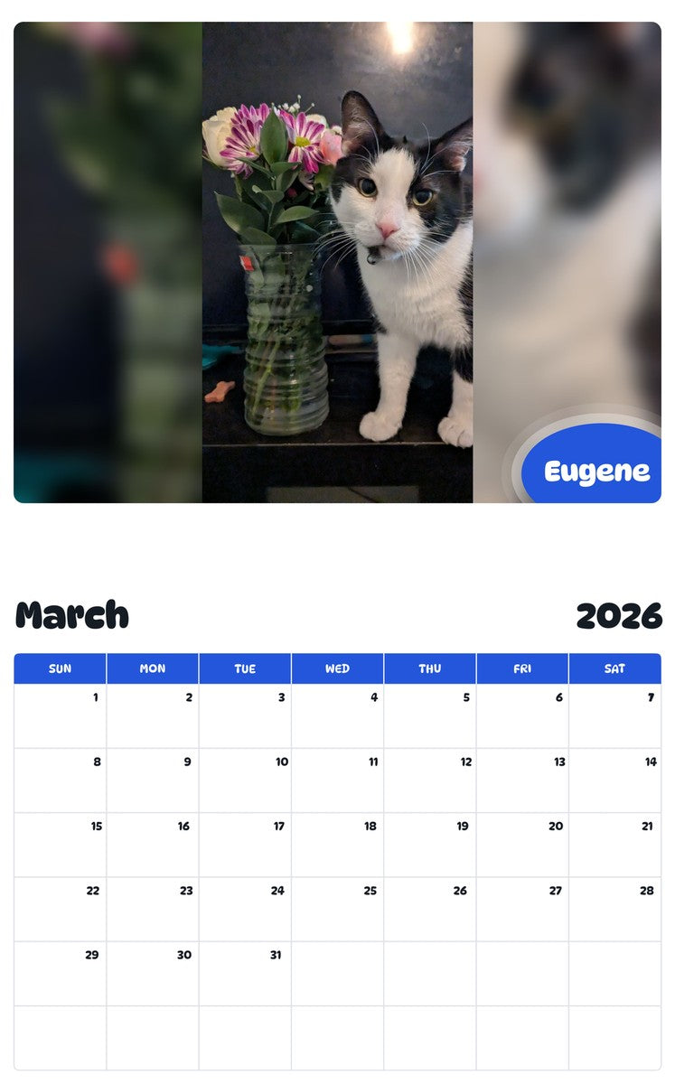 November 2025 - October 2026 Eugene - Pawidols Pet Calendar