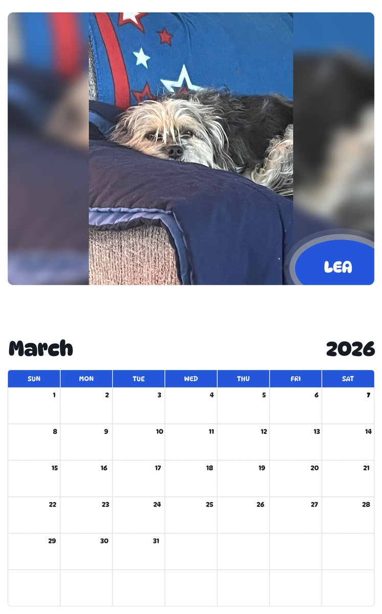 November 2025 - October 2026 LEA - Pawidols Pet Calendar