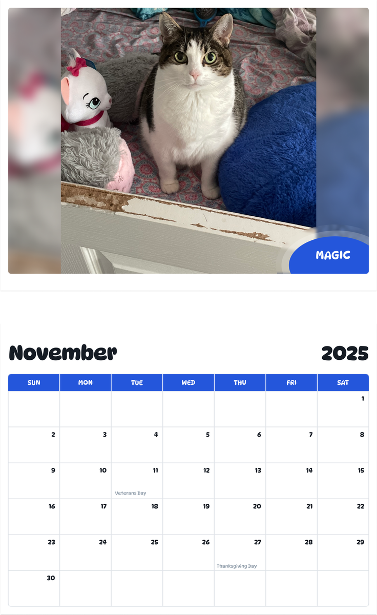 July 2025 - June 2026 Magic - Pawidols Pet Calendar