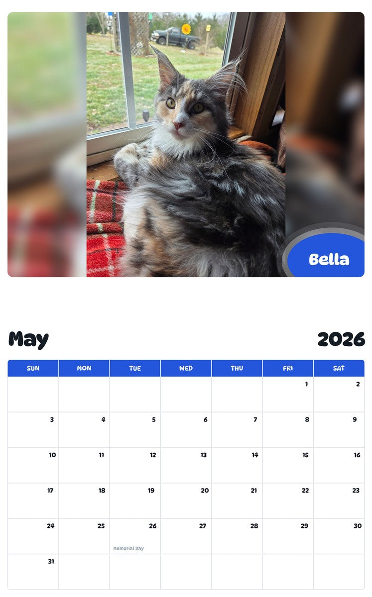 2026 - 2027 Bella - Pawidols Pet Calendar