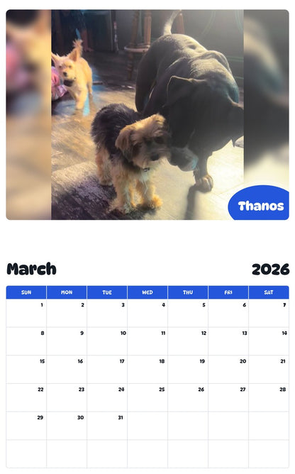 November 2025 - October 2026 Thanos - Pawidols Pet Calendar