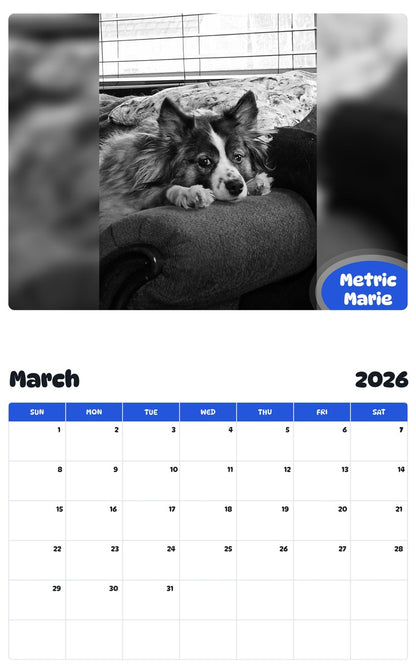 November 2025 - October 2026 Metric Marie - Pawidols Pet Calendar
