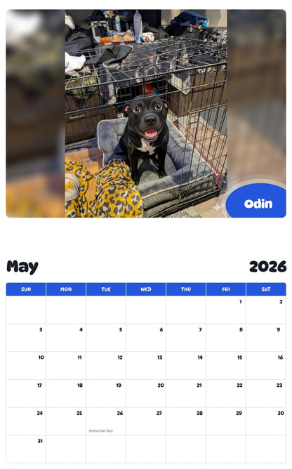 2026 - 2027 Odin - Pawidols Pet Calendar
