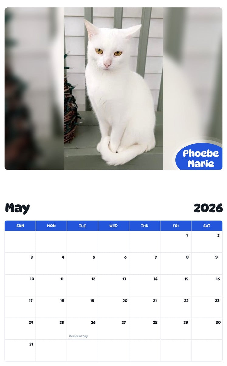 2026 - 2027 Phoebe Marie - Pawidols Pet Calendar