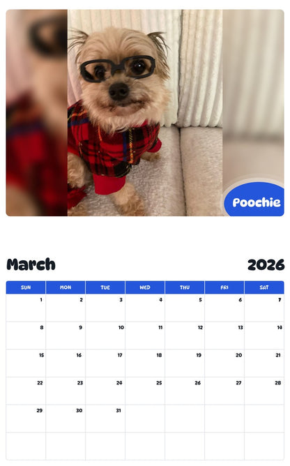 November 2025 - October 2026 Poochie - Pawidols Pet Calendar